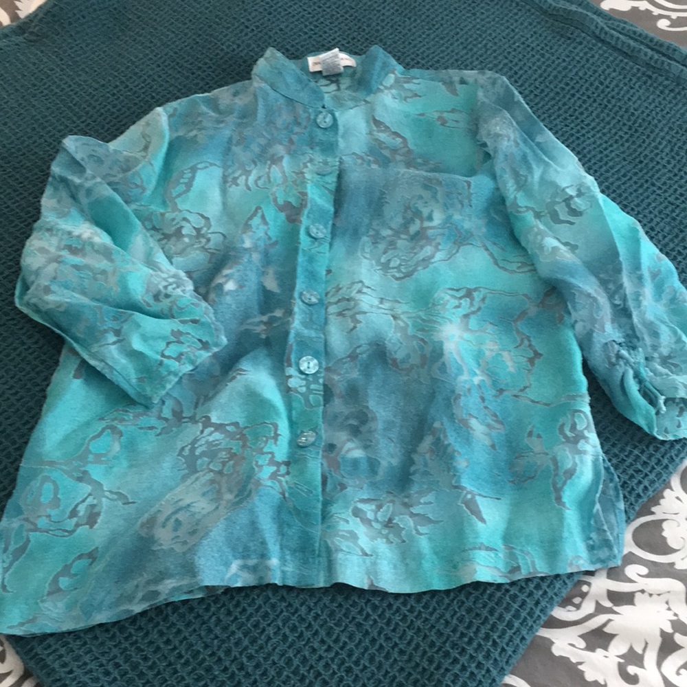 Draper's and Damon's button down blouse blue burnout velvet size 10